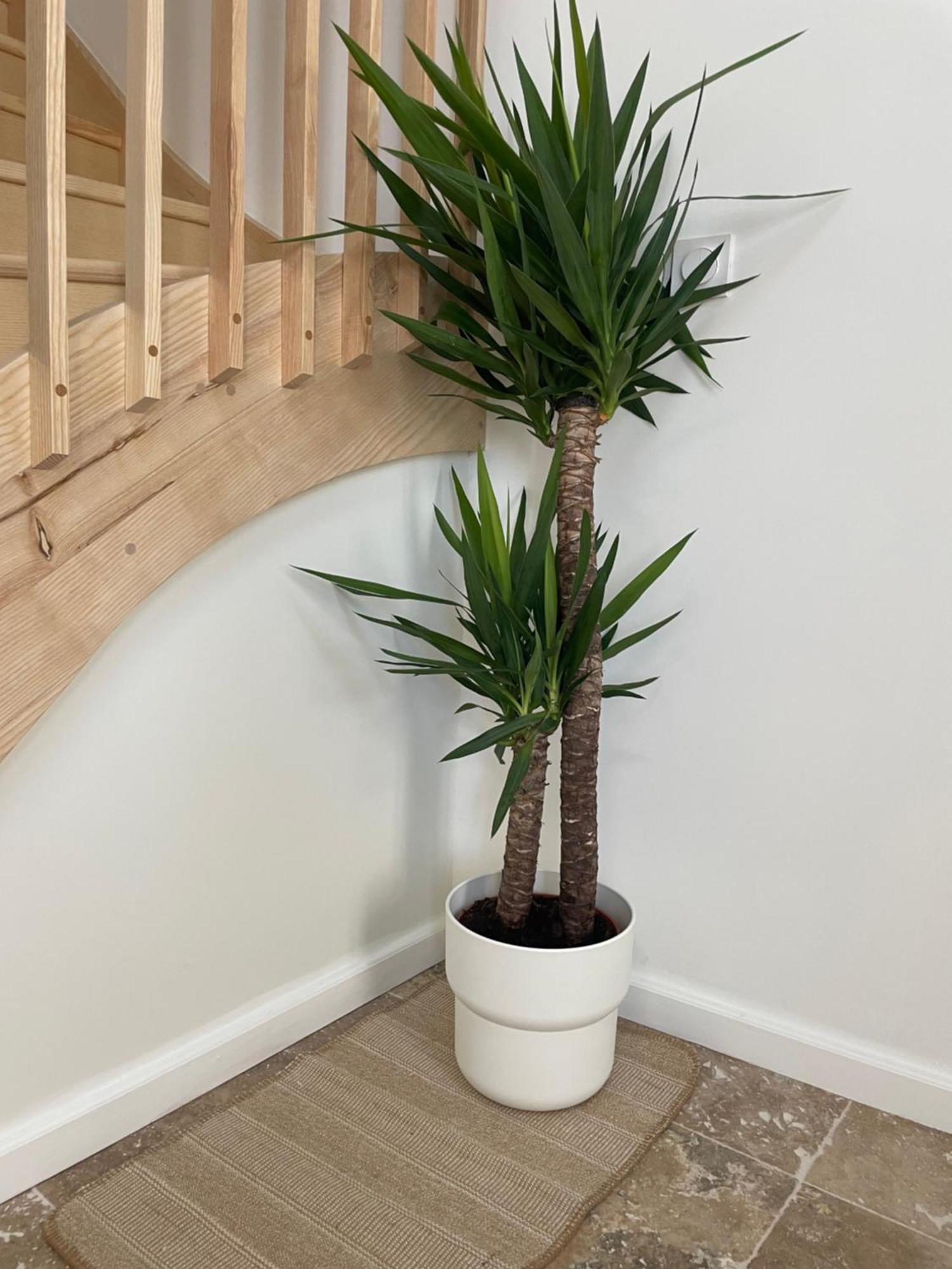 L Appartement Sete Magnifique Duplex Climatise ภายนอก รูปภาพ
